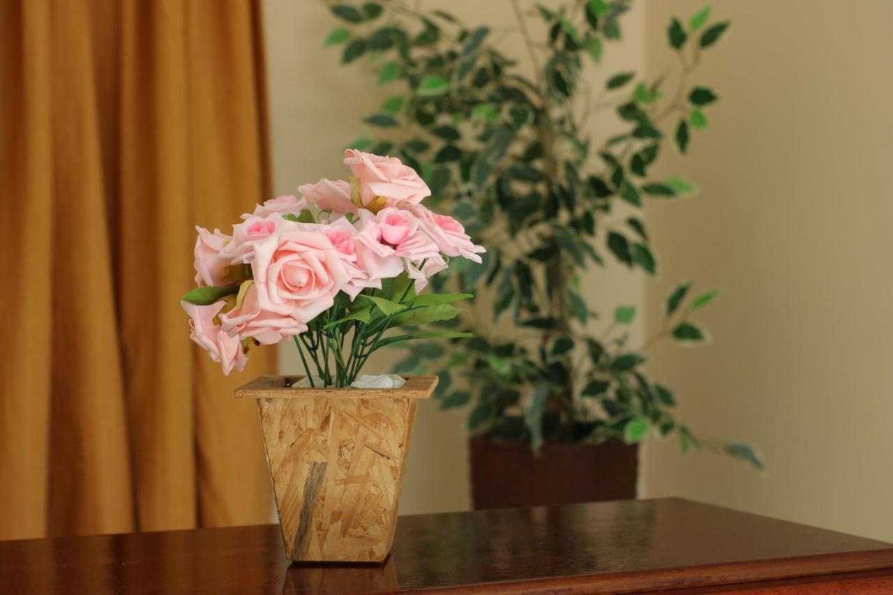 アパレシーダ Casa Rainha Da Pazヴィラ エクステリア 写真